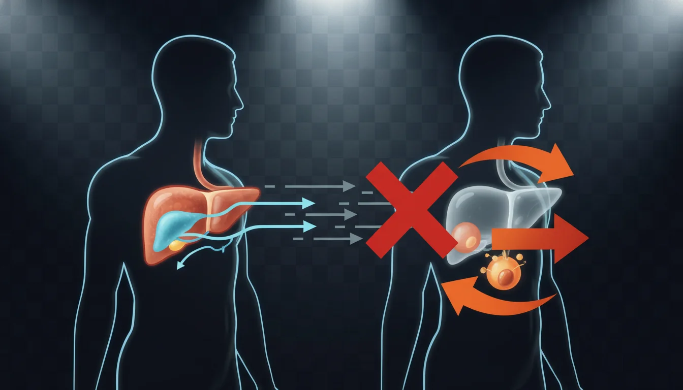 cerveja de trigo engorda